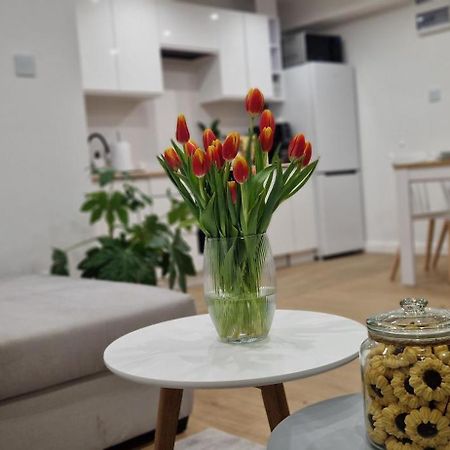 Apartament Na Skalkach Jelenia Gora Bagian luar foto