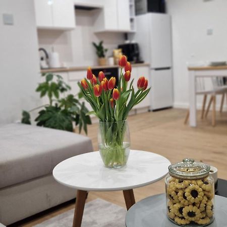 Apartament Na Skalkach Jelenia Gora Bagian luar foto
