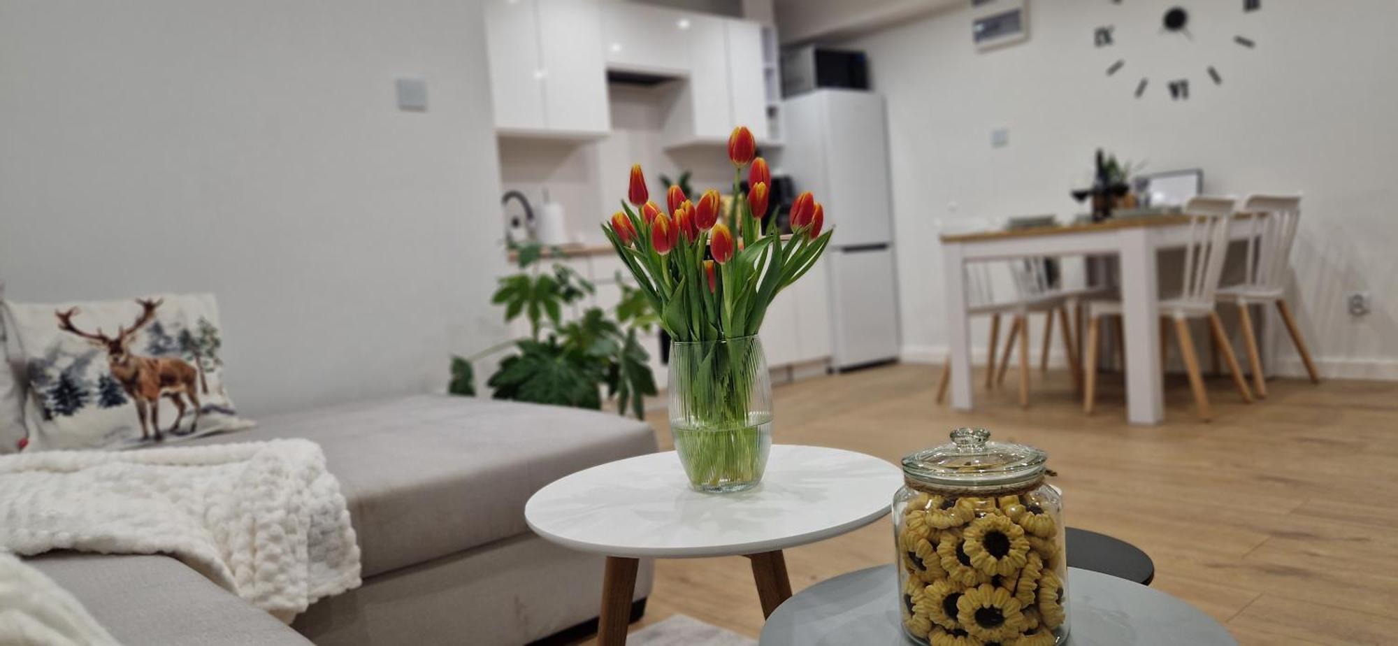 Apartament Na Skalkach Jelenia Gora Bagian luar foto